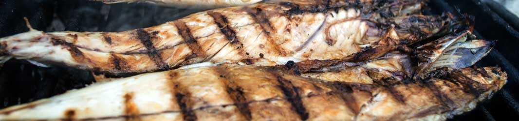 Fischgerichte vom Grill